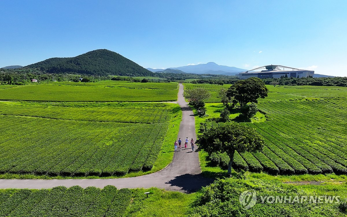 [삶] 영화관서 연인과 다정하게 석유 추출물 한줌한줌 계속 먹었네요