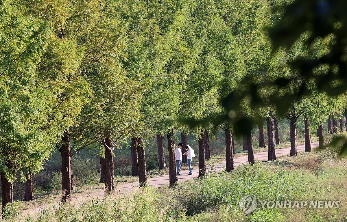 강원 맑고 낮 최고 31도…출근길 짙은 안개 조심