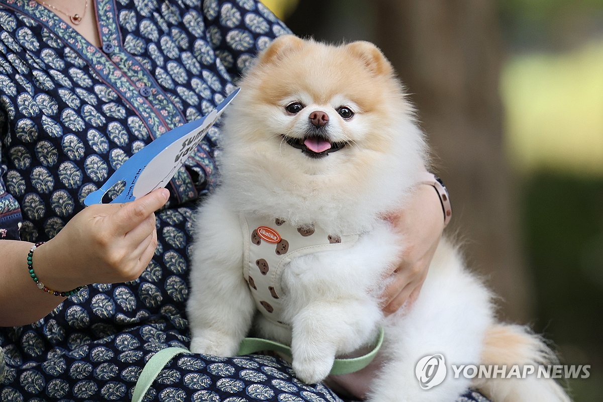 내일도 낮 내륙 중심 30도 안팎…제주도엔 비