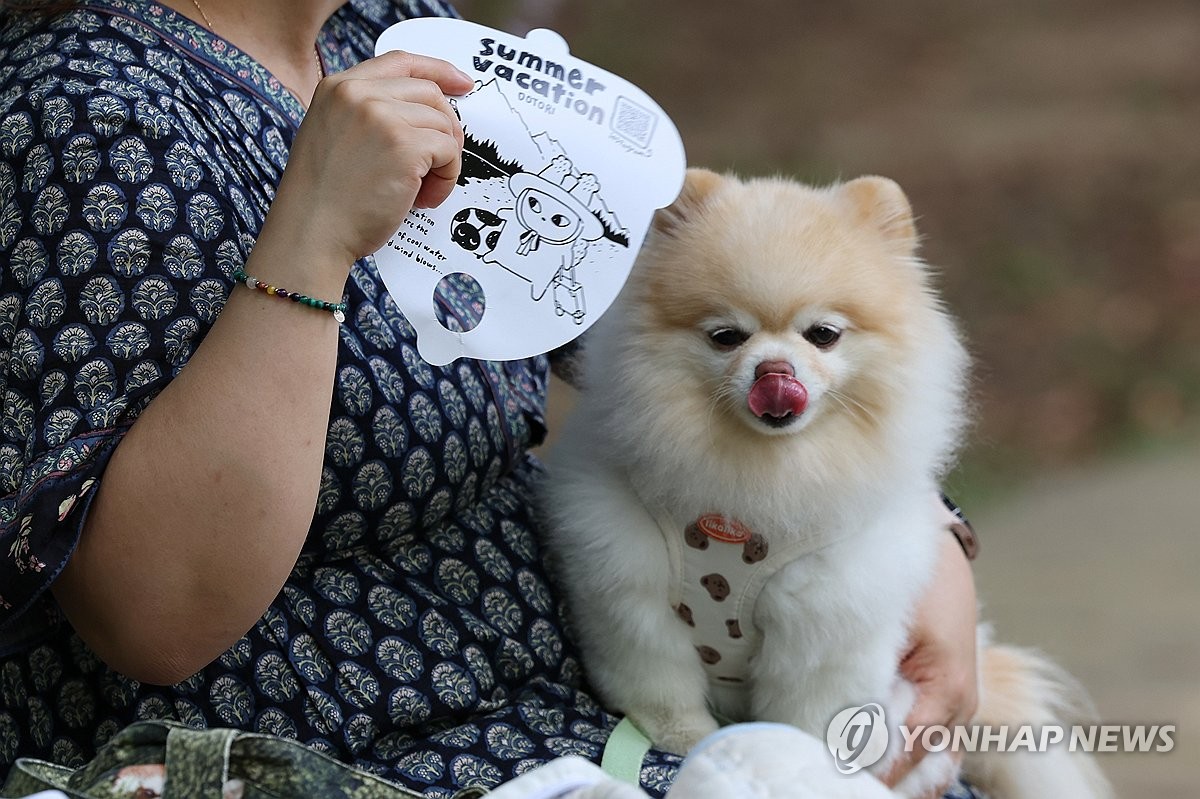 [날씨] 끈질긴 늦더위…내륙은 30도까지