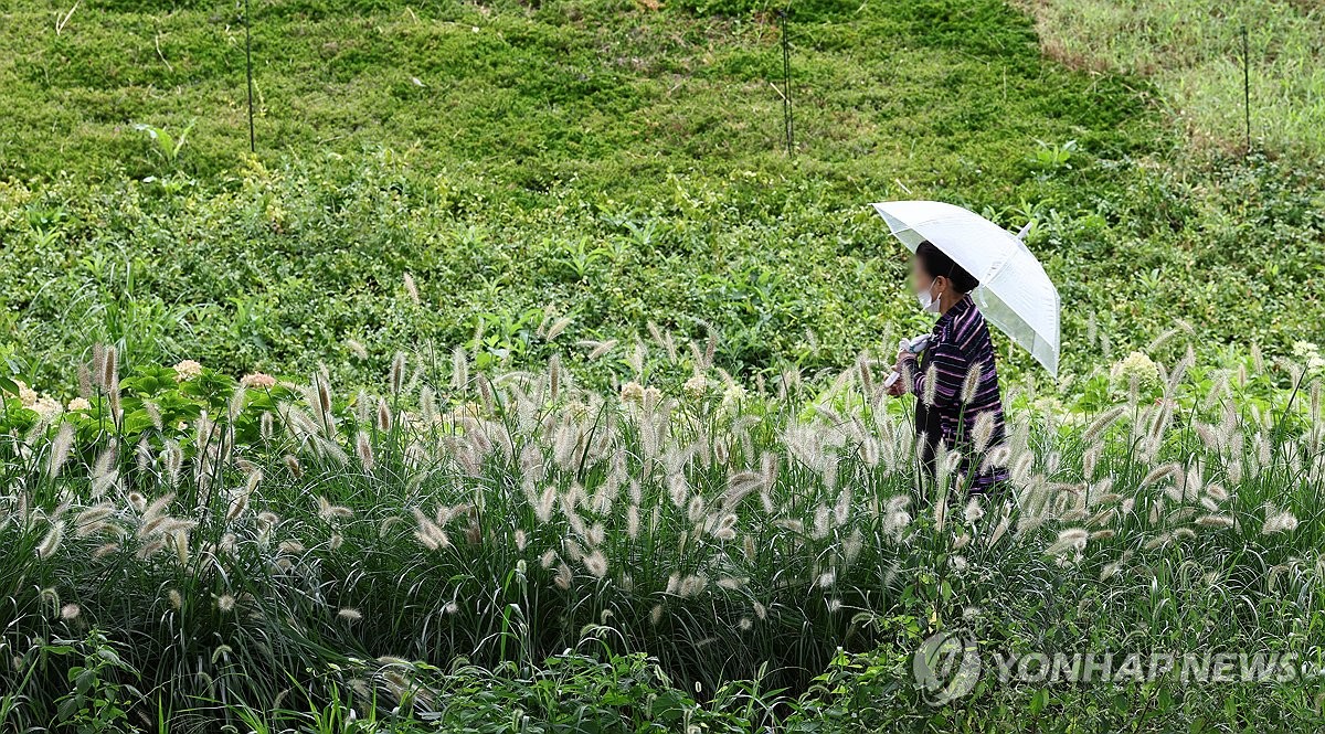 부산·울산·경남 흐리고 비…내일 새벽까지 30∼80㎜