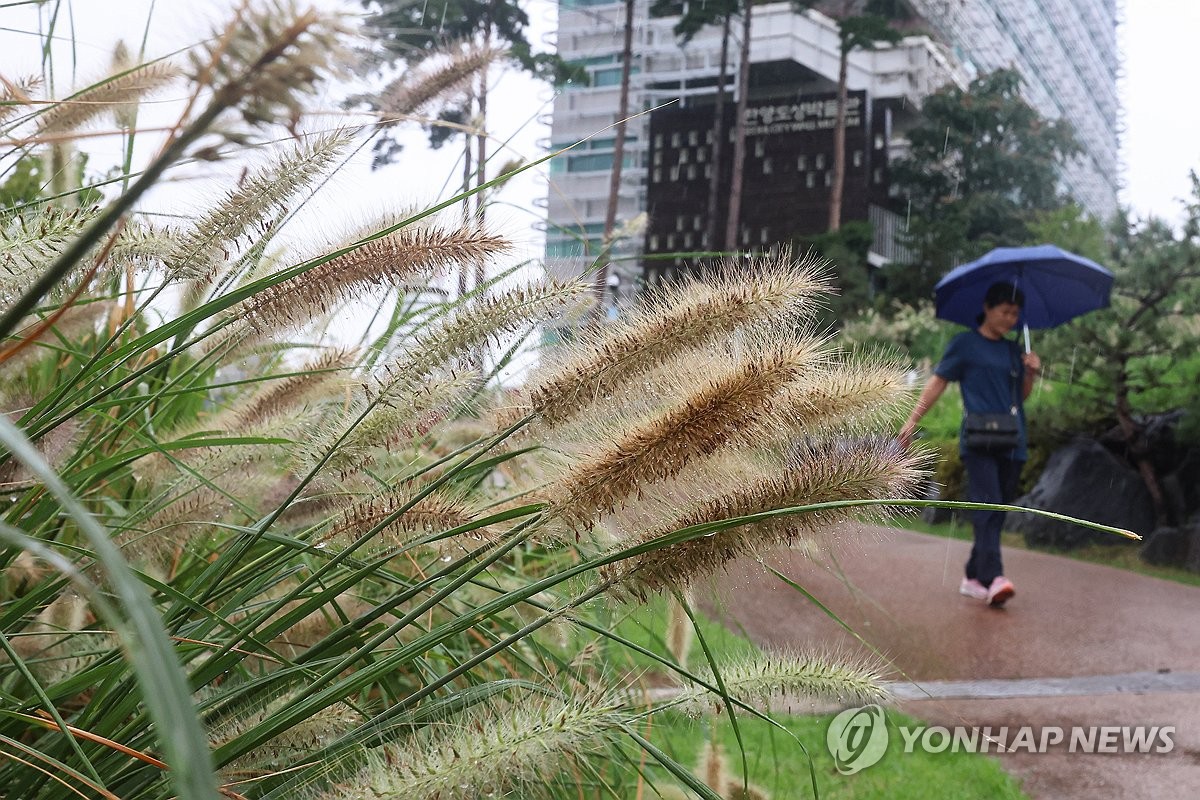 [날씨] 연휴 전날까지 오락가락 비