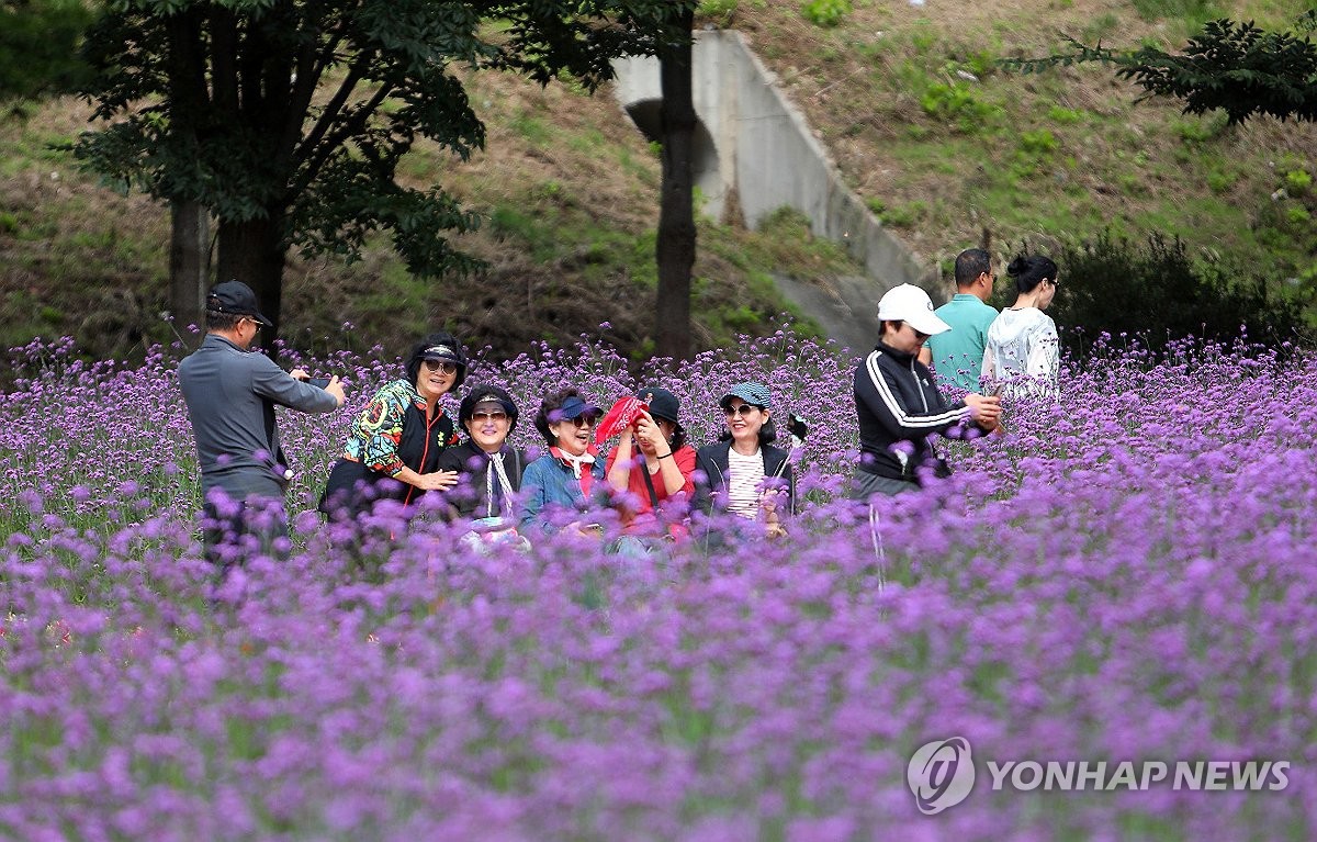 오늘 흐리고 밤부터 비…연휴 전날까지 계속 내릴 듯