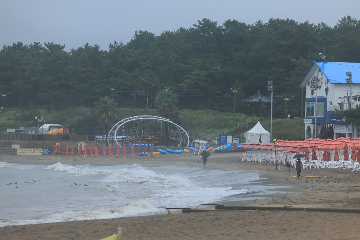 비 내리는 제주 /사진=연합뉴스