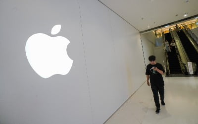 중국 사용 금지 우려로…애플 이틀째 급락