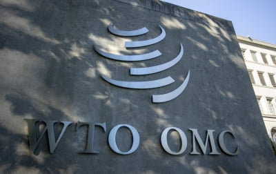 WTO "주요국들의 '끼리끼리' 공급망 재편, 값비싼 대가 치를 것"