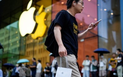 "중국 시장은 포기 못해"…애플의 '중국+1' 등 각양각색 전략