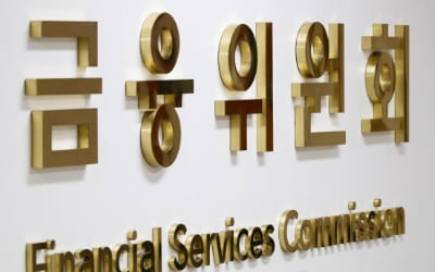 은행권 특정그룹 몰빵대출 리스크 차단…'거액 익스포저' 한도 규제