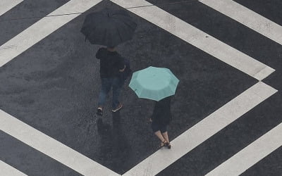 남해안·제주 강한 비…아침까지 내륙 짙은 안개