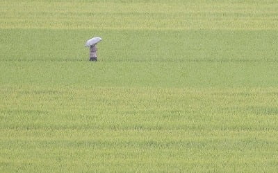 전국 흐리고 가끔 비…낮 에볼루션 카지노 사이트기온 25∼31도