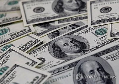 글로벌 경제 불안 고조에 '안전자산' 달러로 투자 몰려