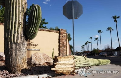 올여름 한국만 덥지 않았다…세계 곳곳서 잇따라 '최고치'