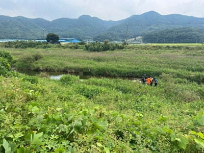 충북 보은 하천서 신원 미상 여성 숨진 채 발견