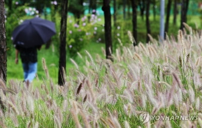 [날씨] 전국 가을비…새벽 수도권부터 그치고 쌀쌀