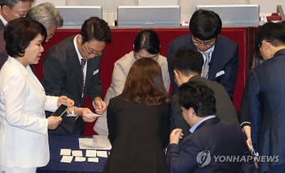 또 나온 ㉮, 희미한 점 찍힌 '가'…이재명 체포안 무효표들