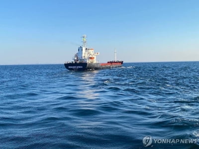 흑해곡물협정 종료후 첫 우크라 곡물 수출선 이스탄불 도착