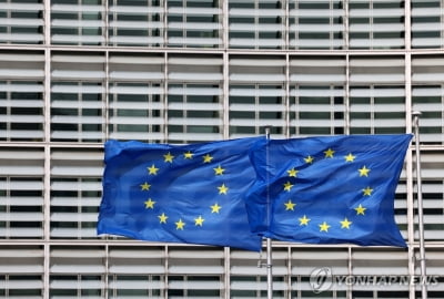 EU, '2030년까지 점유율 10→20%로' 반도체법 21일 발효