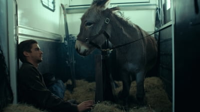 방랑하는 동물의 눈으로 본 인간 세계…영화 '당나귀 EO'