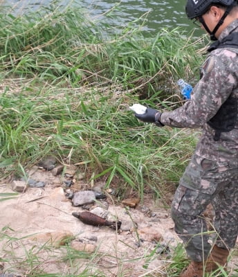 "다슬기 잡는데 포탄이…" 옥천 서화천서 6·25때 불발탄 수거
