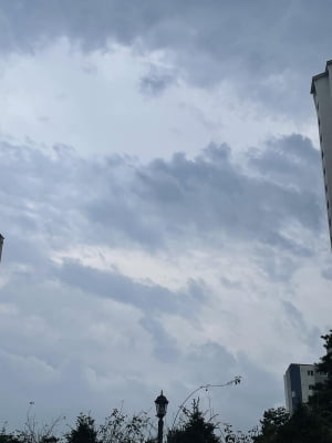 대구·경북 대체로 흐림…울릉도·독도 가끔 비