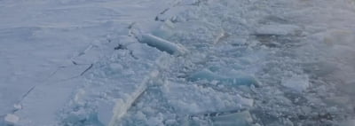 줄줄 녹는 남극 해빙…올겨울 면적 역대 최소치