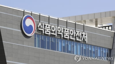 식약처, 공원·기차역 등 음식점 위생점검…탕후루 매장도