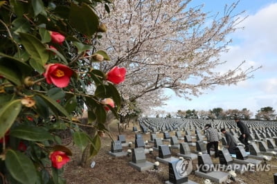 제주4·3 일반재판 희생자 20명 첫 직권재심서 전원 무죄