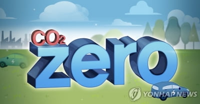 IEA "매년 50억t 탄소 제거 피하려면 청정에너지 대폭 늘려야"
