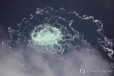 노르트스트림 가스관 폭발 1년…러, "은폐 말고 조사" 촉구(종합)