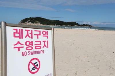 '수영금지' 안내판에도 바다 '풍덩'…안전 사각지대 사고 우려