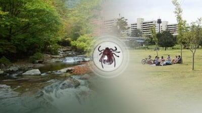 진드기·쥐가 옮기는 감염병 매년↑…추석 연휴 야외활동 '주의'