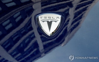 美 연방기구, 테슬라 제소…"직장내 흑인 노동자들 괴롭힘 방치"