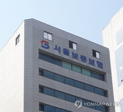 내달 '대어' 또 온다…서울보증·에코프로머티리얼즈 출격 대기