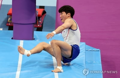 [아시안게임] 올림픽 금메달리스트 체조 신재환, 항저우선 도마 4위(종합2보)