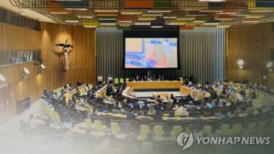 안보리 이사국 수임 준비 본격화…내달부터 모든 회의 참관