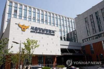 새벽 강남서 음주운전 추격전…구속 운전자 마약 양성반응