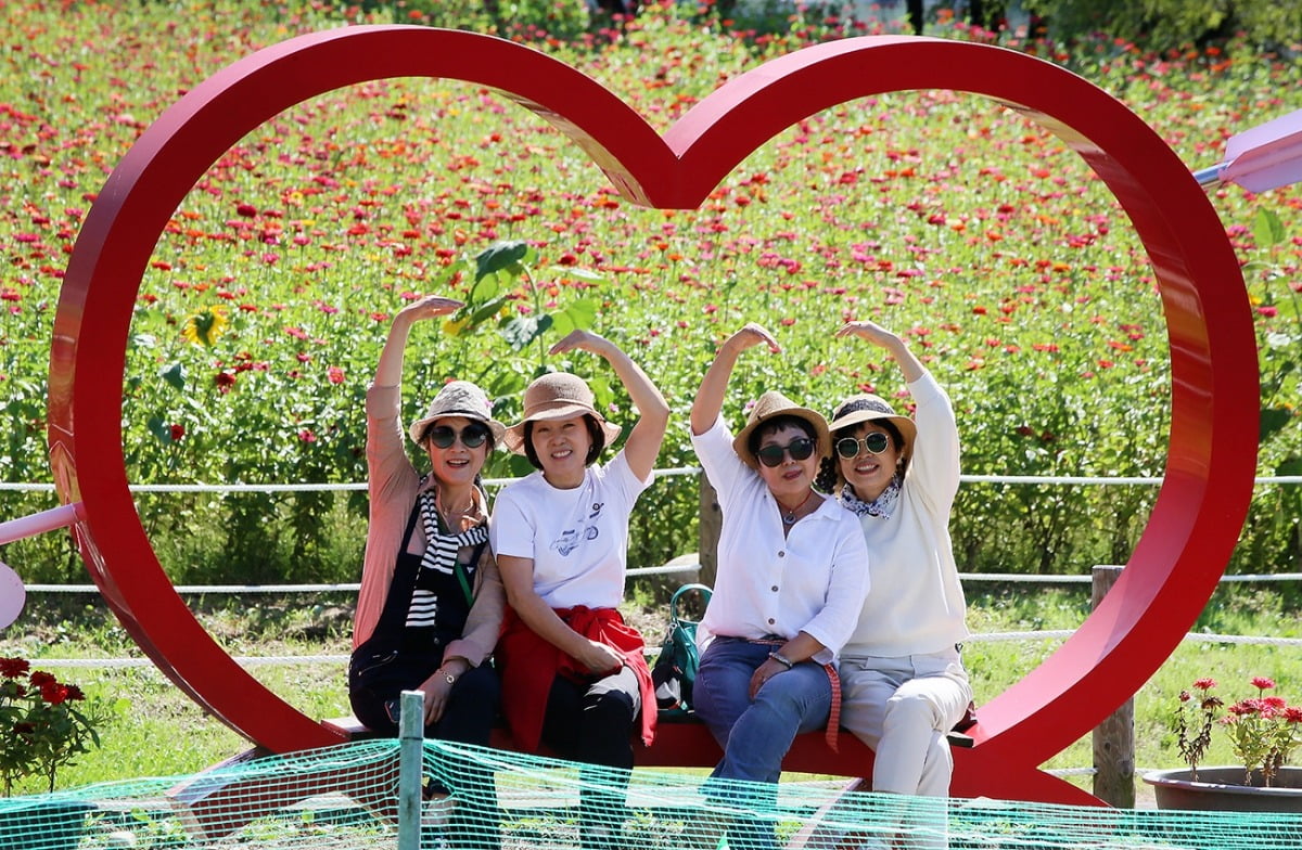 ‘2023 평창백일홍축제’를 찾은 방문객들이 하트 포토존에서 기념사진을 촬영하고 있다.
사진제공=평창군