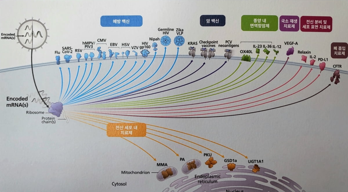 모더나가 현재 개발 중인 mRNA 의약품 파이프라인. 총 48개의 프로그램이 진행중이며, 현재 35개가 임상 중에 있다. / 출처=모더나 설명자료