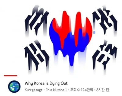 "한국 망해간다"…2000만 유튜브에 흘러내린 태극기, 왜?