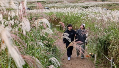 [포토] 성큼 다가온 레고카지노