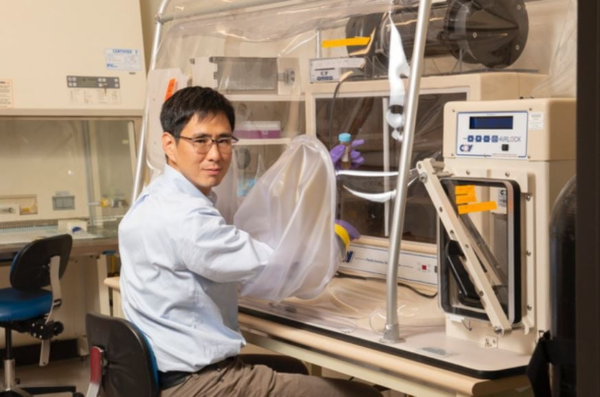 허준렬 하버드 의대 교수가 혐기성 배양기(Anaerobic chamber)를 이용해 장내 미생물을 배양하는 모습