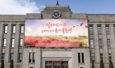 "설레었나 봐, 네가 오니 붉게 물들어"…서울도서관 외벽에 새 글귀