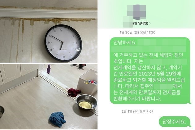 정 씨가 거주하던 전세 집에 누수가 발생했을 당시의 모습. 정 씨는 집주인이 바뀐 걸 뒤늦게 알고 연락을 취했지만 쉽게 닿지 않았다. /사진=제보자 제공