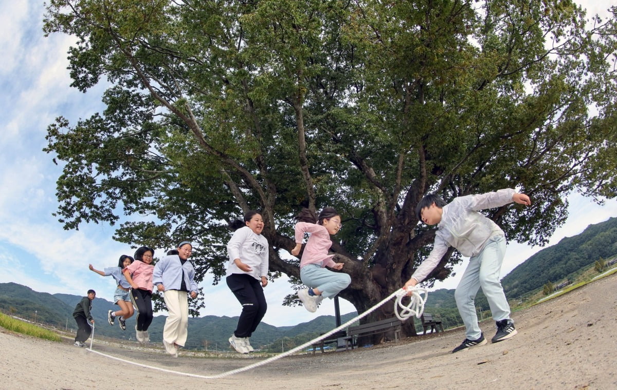 경상남도 합천군 야로면에 있는 500년 된 느티나무 앞에서 야로초등학교 학생들이 줄넘기를 하고 있다.  /최혁 기자