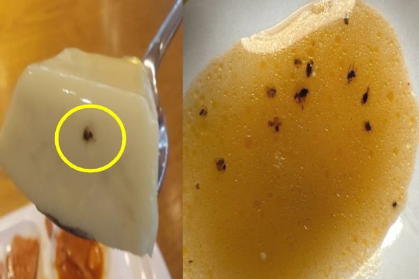 학식 메뉴인 '뼈 없는 감자탕'에서 나왔다는 벌레 사체들. /사진=대학교 익명 커뮤니티 게시판 캡처