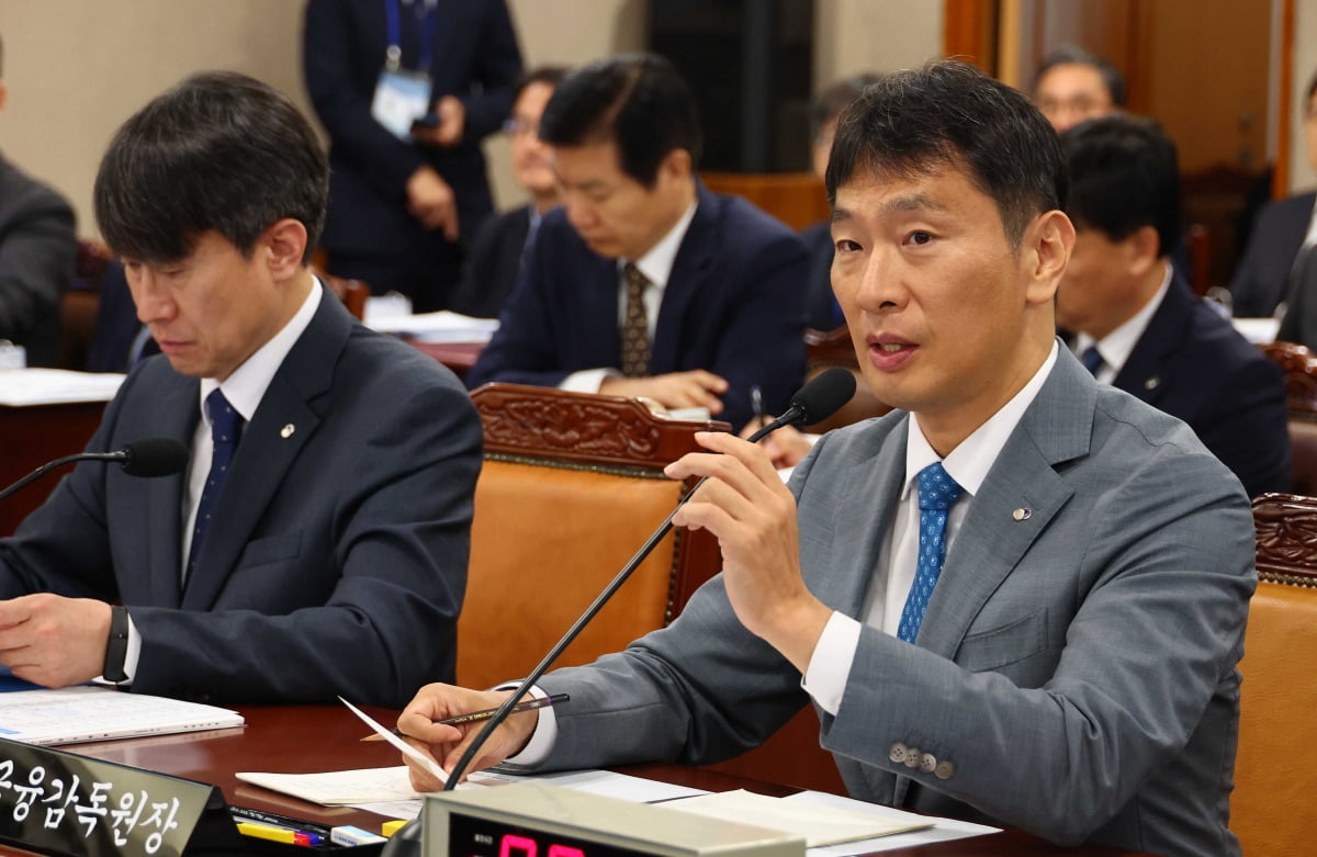 이복현 금융감독원장이 17일 서울 영등포구 금융감독원에서 열린 금감원에 대한 국회 정무위원회 국정감사에서 답변을 하고 있다. /김병언 기자