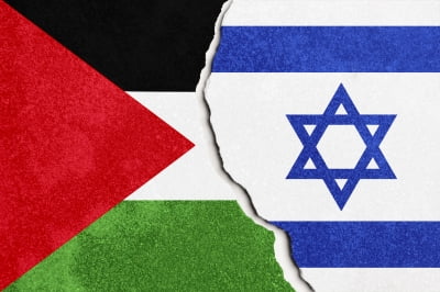 "전쟁은 이란에만 좋은 일"…중동국들은 정말 팔레스타인 지지할까