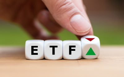 증시 부진에도…개미들은 레버리지 ETF 저가지니 카지노