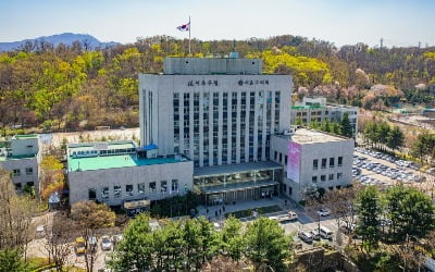 서울 송파 이어 서초도 정당 현수막 '퇴출'