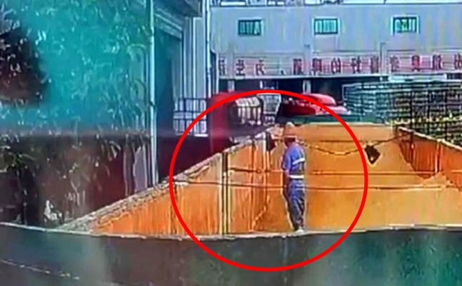 중국 산둥성 칭다오 맥주 제3공장에서 한 남성이 맥주 원료(맥아)에 오줌을 누는 것으로 보이는 행동을 하고 있다. 이러한 장면이 담긴 영상이 지난 19일 중국의 소셜미디어 웨이보에 올라와 논란이 일고 있다./사진=웨이보
